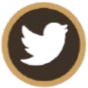 twitter-icon